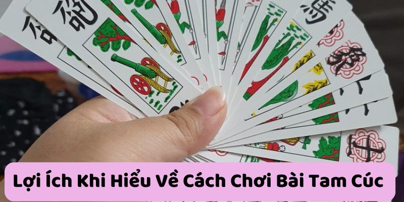 Loi-ich-khi-hieu-ve-cach-choi-bai-tam-cuc