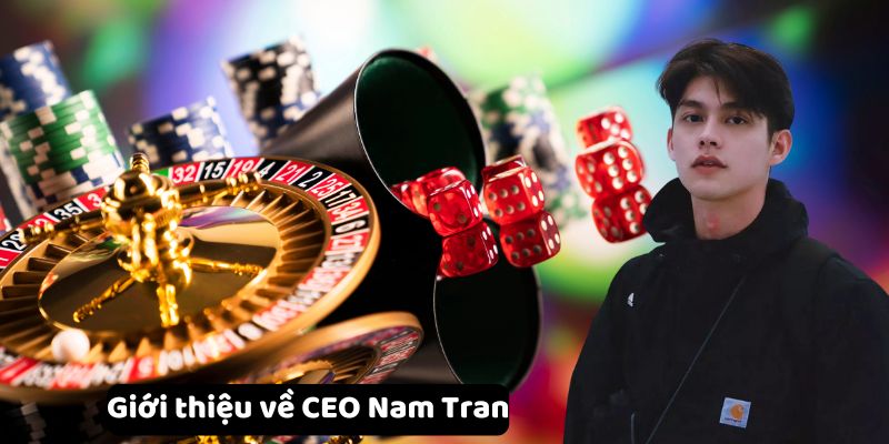 gioi-thieu-ve-ceo-nam-tran