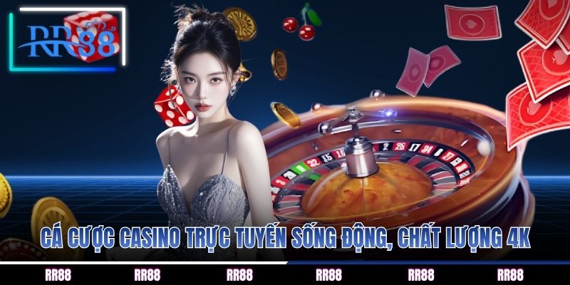 Cá cược casino trực tuyến sống động, chất lượng 4K