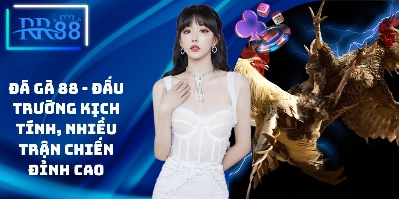 Đá Gà 88 - Đấu Trường Kịch Tính, Nhiều Trận Chiến Đỉnh Cao