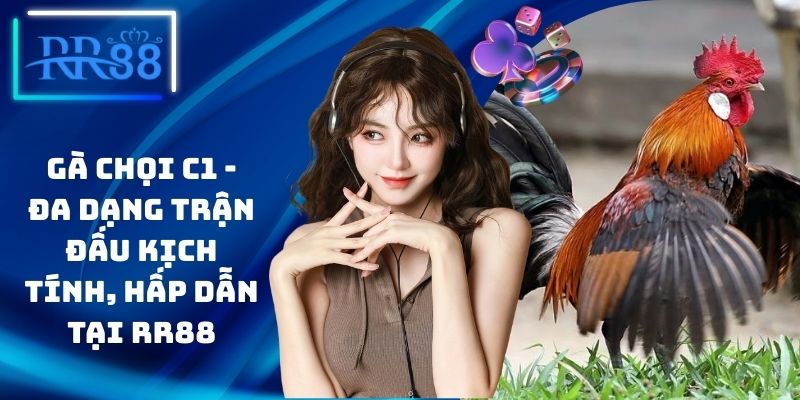 Gà Chọi C1 - Đa Dạng Trận Đấu Kịch Tính, Hấp Dẫn Tại RR88
