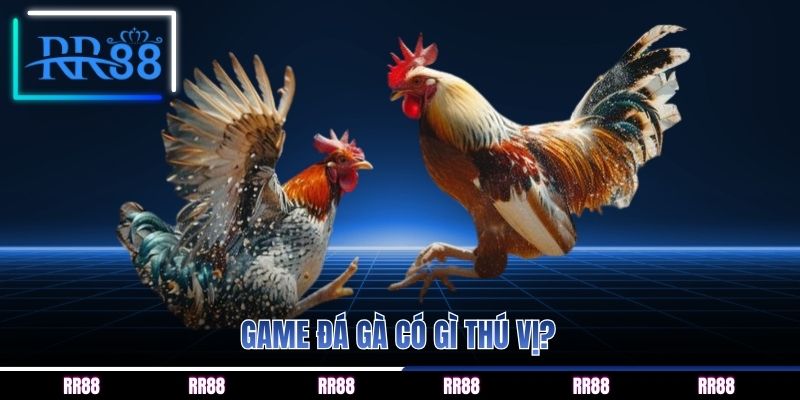 Game đá gà có gì thú vị? 