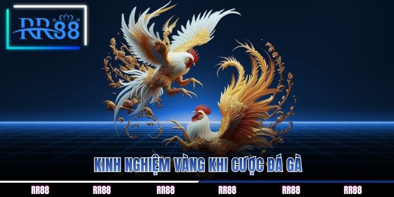 Kinh nghiệm vàng khi cược đá gà