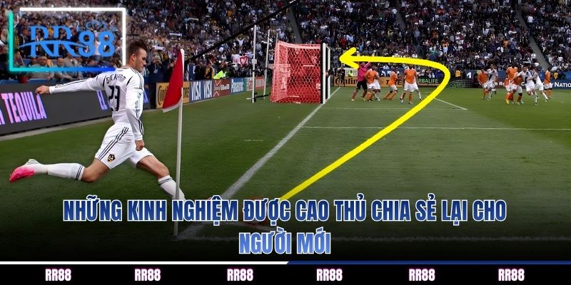 Những kinh nghiệm được cao thủ chia sẻ lại cho người mới